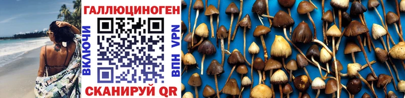 Галлюциногенные грибы GOLDEN TEACHER  Сосногорск 
